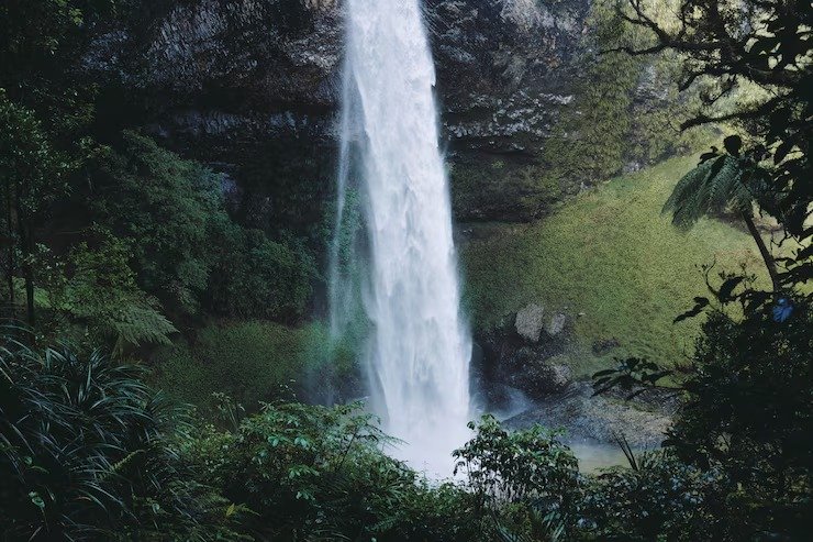 Nature near Liril Falls